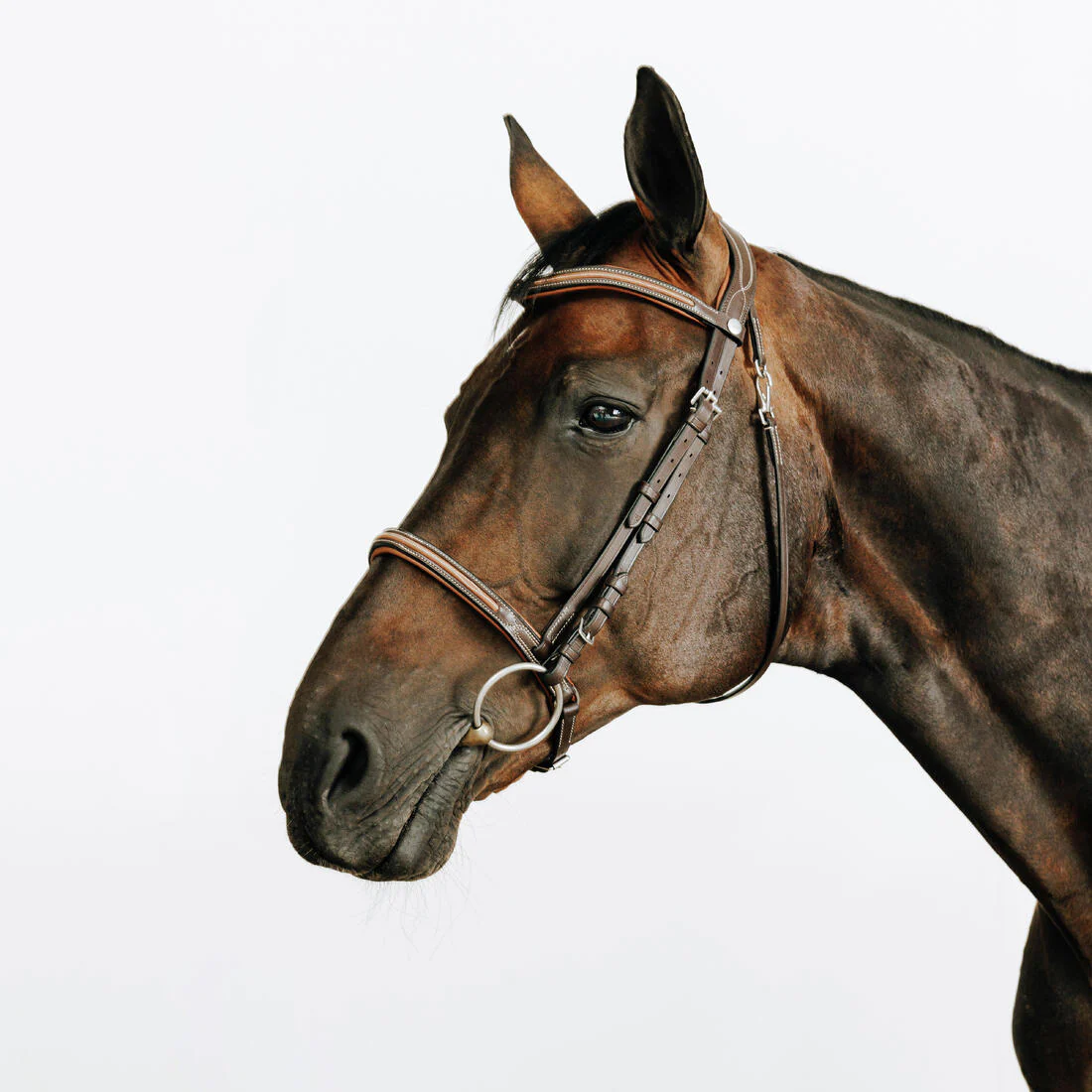 CABEZADA EQUITACIÓN 580 CAFÉ CUERO MUSEROLA FRANCESA PESPUNTE CABALLO/PONI