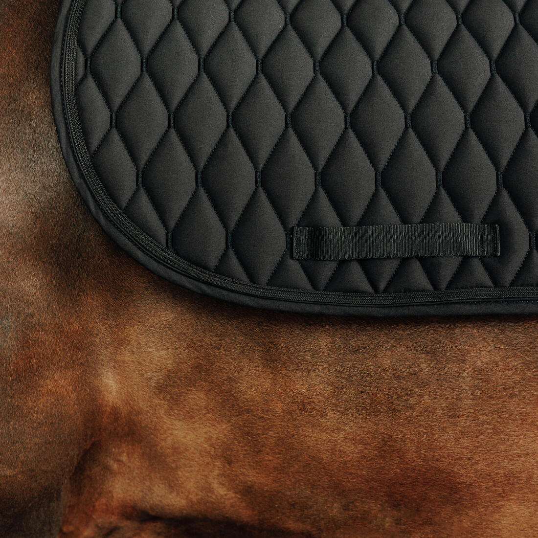 MANTILLA SILLA EQUITACIÓN 500 CRISTALES BRILLANTES CABALLO PONI - Image 2